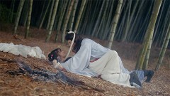雪上恋歌 〜天に刻まれた悠久の愛〜 第8話 幻覚キノコと義賊