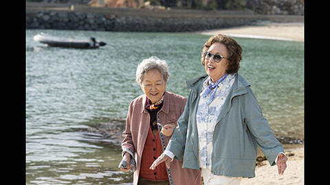 最後のピクニック（字幕）