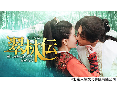 翠林伝～憎しみから始まった恋の行方～（全24話）（字幕）