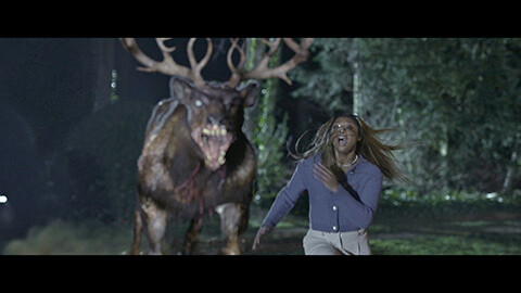 子鹿のゾンビ（字幕）