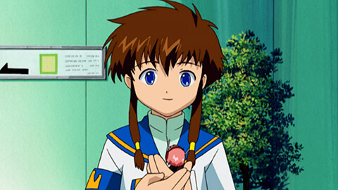 Battle 10「いじわる姉妹！ 狙われたヒカル」 