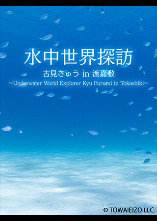 水中世界探訪：古見きゅう in 渡嘉敷 ～Underwater World Explorer: Kyu Furumi in Tokashiki～