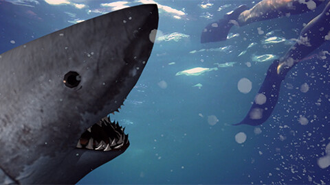 エイリアンVSジョーズ（字幕）