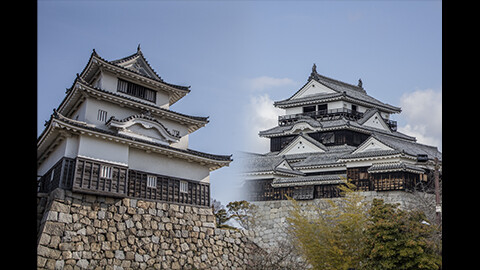 現存12天守を訪れて 松山城・丸亀城