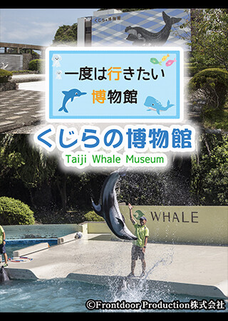一度は行きたい博物館 くじらの博物館