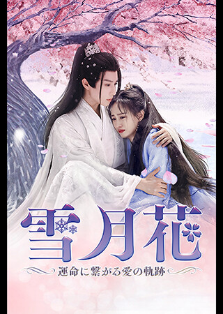 雪月花～運命に繋がる愛の軌跡～（全9話）（字幕）
