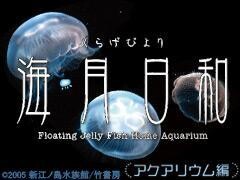 海月日和