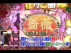 #84ﾋﾞﾜｺのﾗﾌﾞﾌｧｲﾀｰ/CR牡丹と薔薇