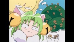 第49話　きのこ狩りは楽しいにょ